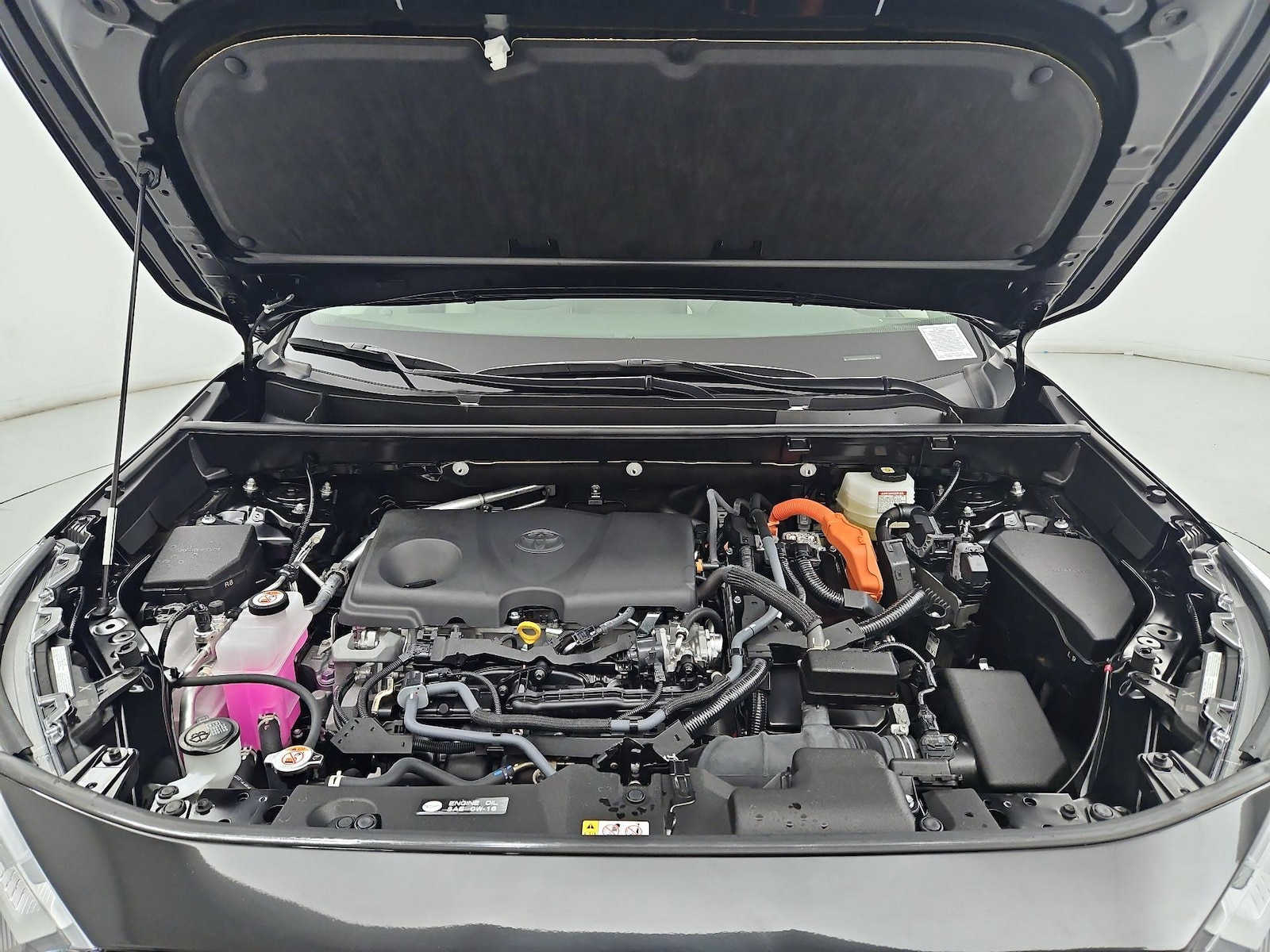 2025 Toyota RAV4 XLE Premium - Photo 23