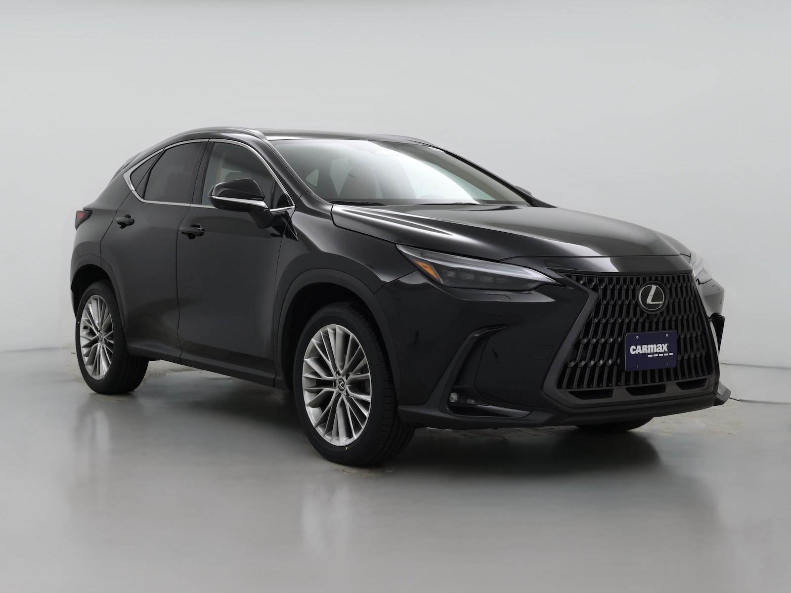 2024 Lexus NX