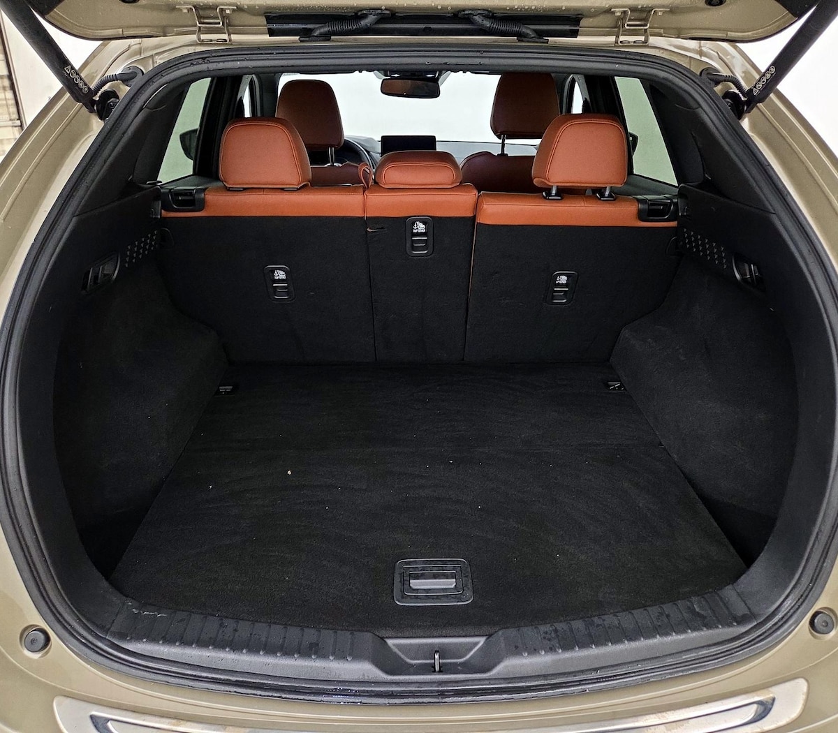Trunk/Cargo (Seats Up)