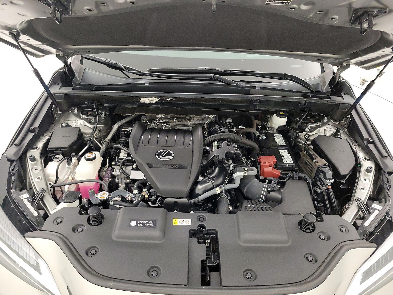 2024 Lexus NX 350 - Photo 22