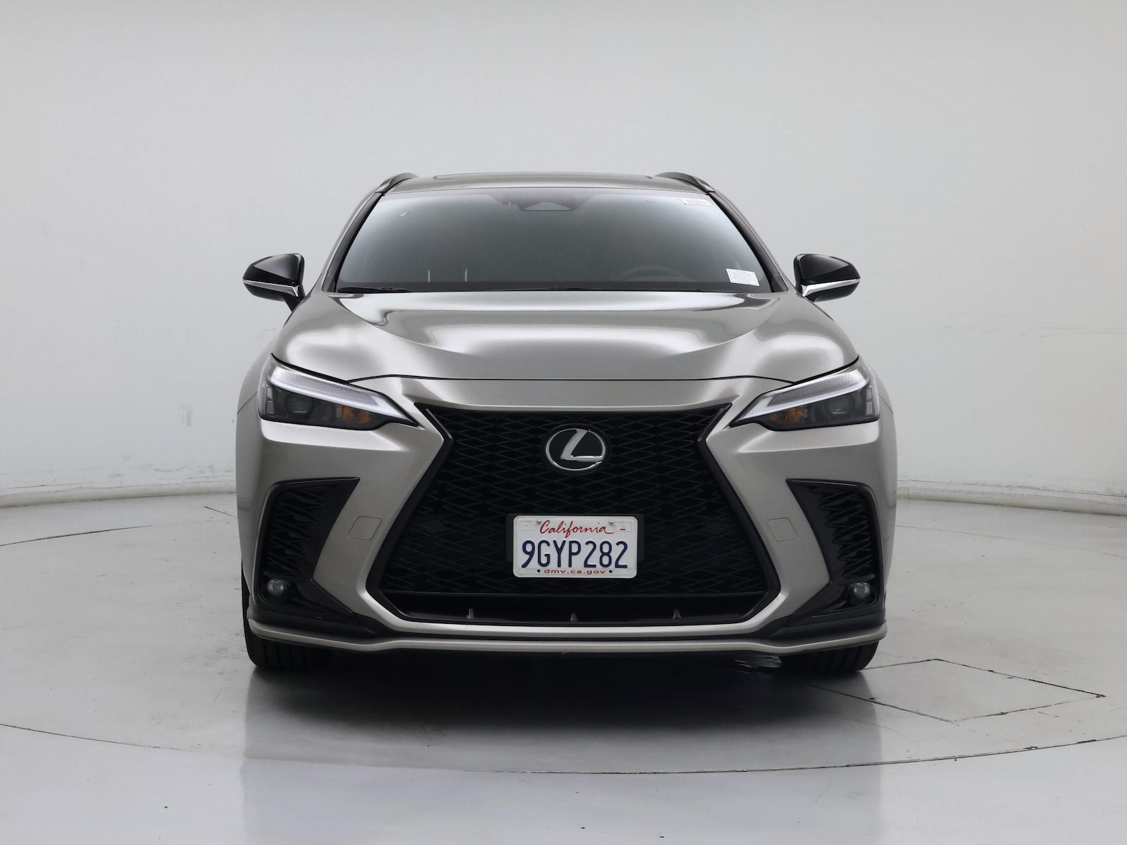 2024 Lexus NX 350 - Photo 6