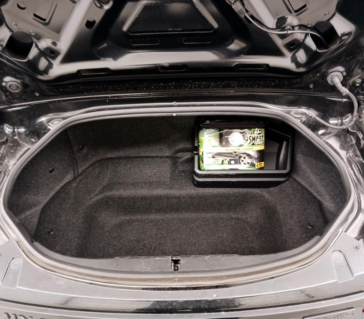 Trunk/Cargo (Seats Up)