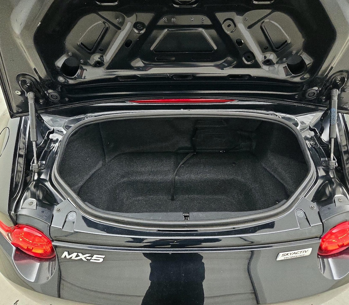 Trunk/Cargo (Seats Up)