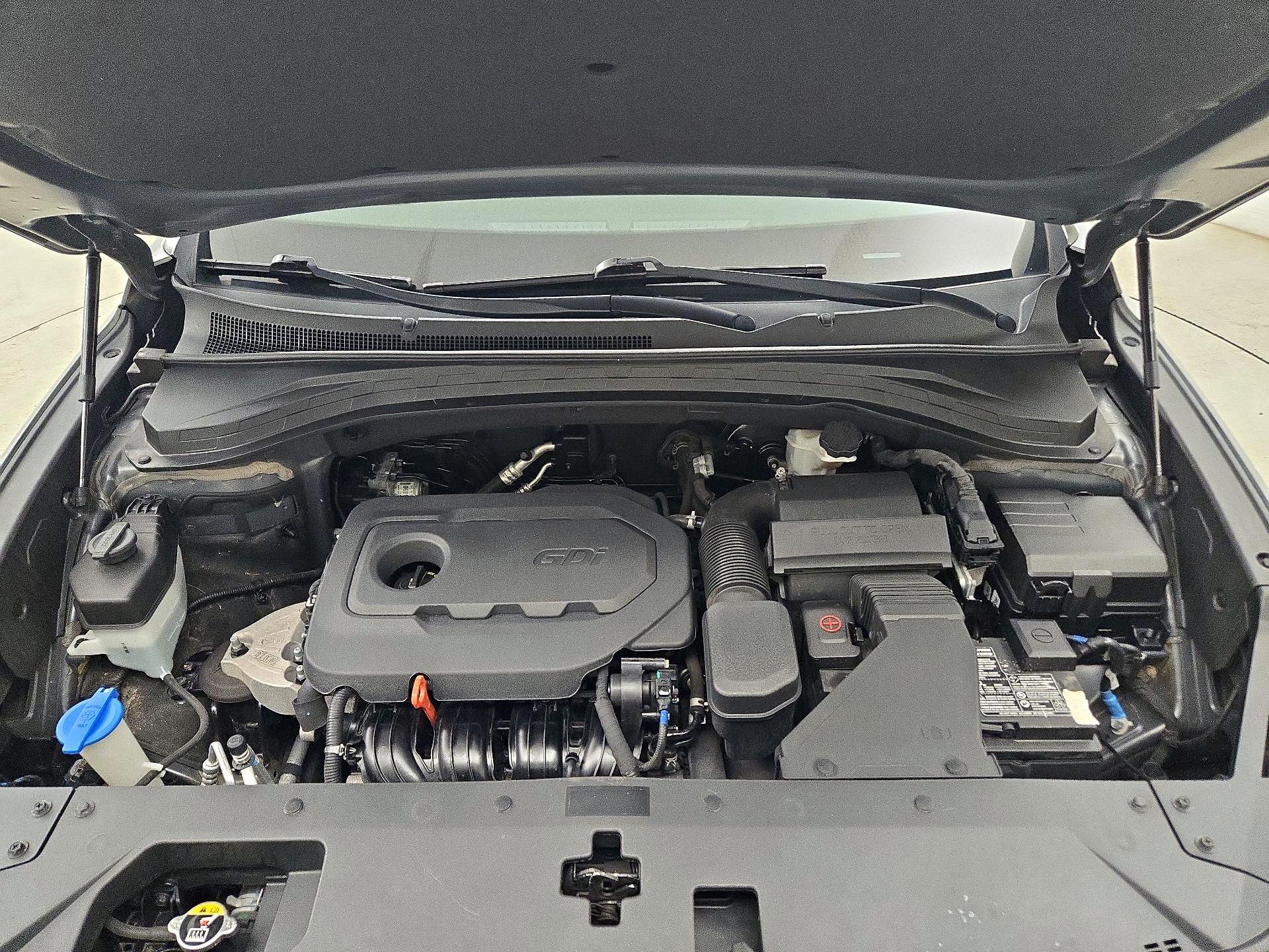 Thumbnail: 2019 Hyundai Santa Fe - 18