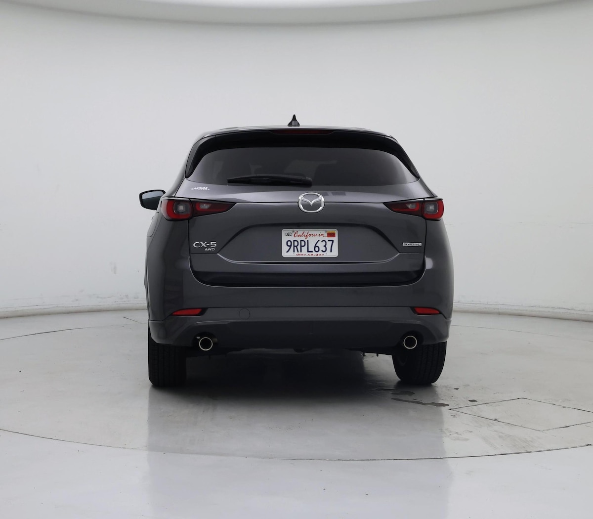 Rear