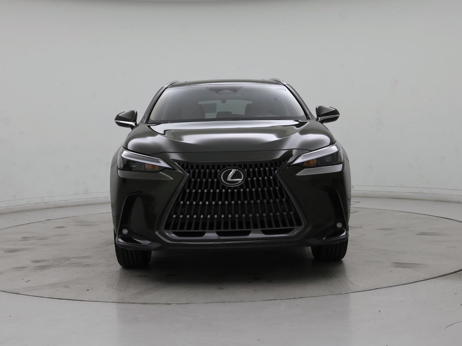 2025 Lexus NX Hybrid 350h - Photo 6