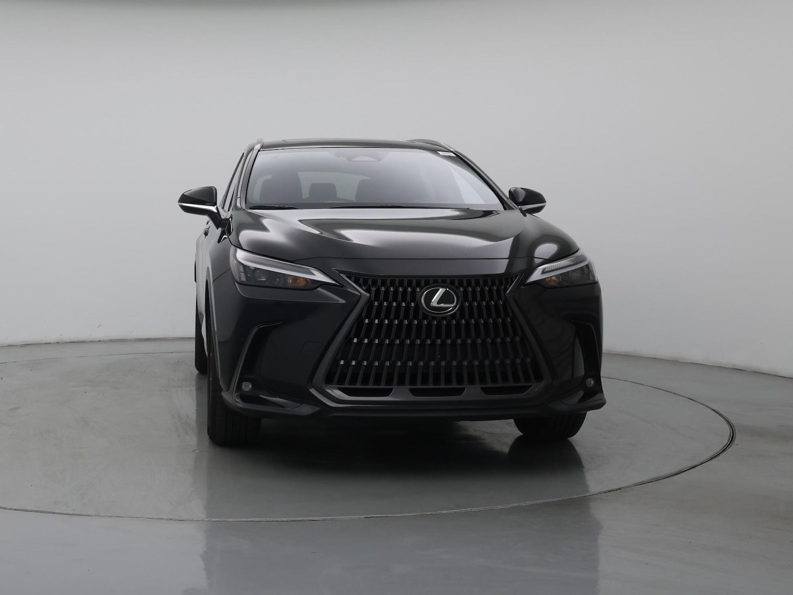 2024 Lexus NX 350 - Photo 6