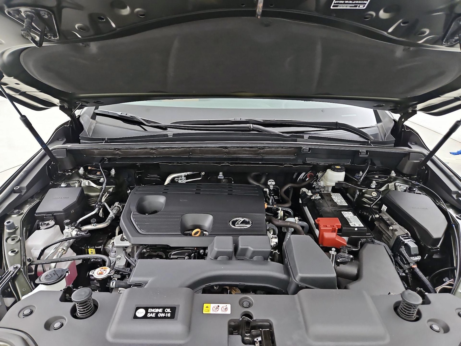 2024 Lexus NX 250 - Photo 23