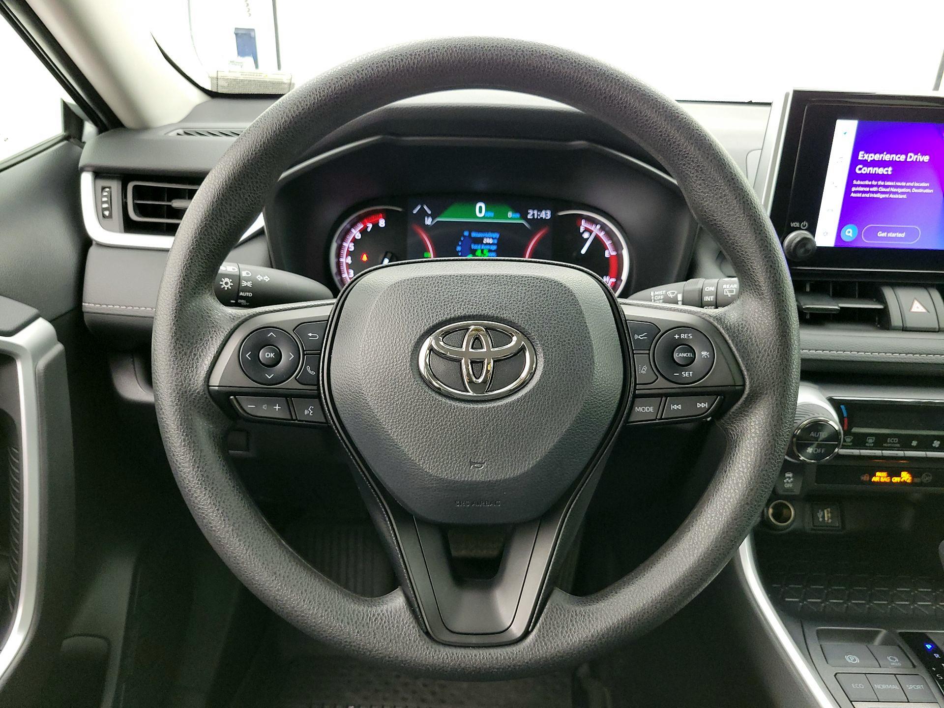 Thumbnail: 2025 Toyota RAV4 - 10