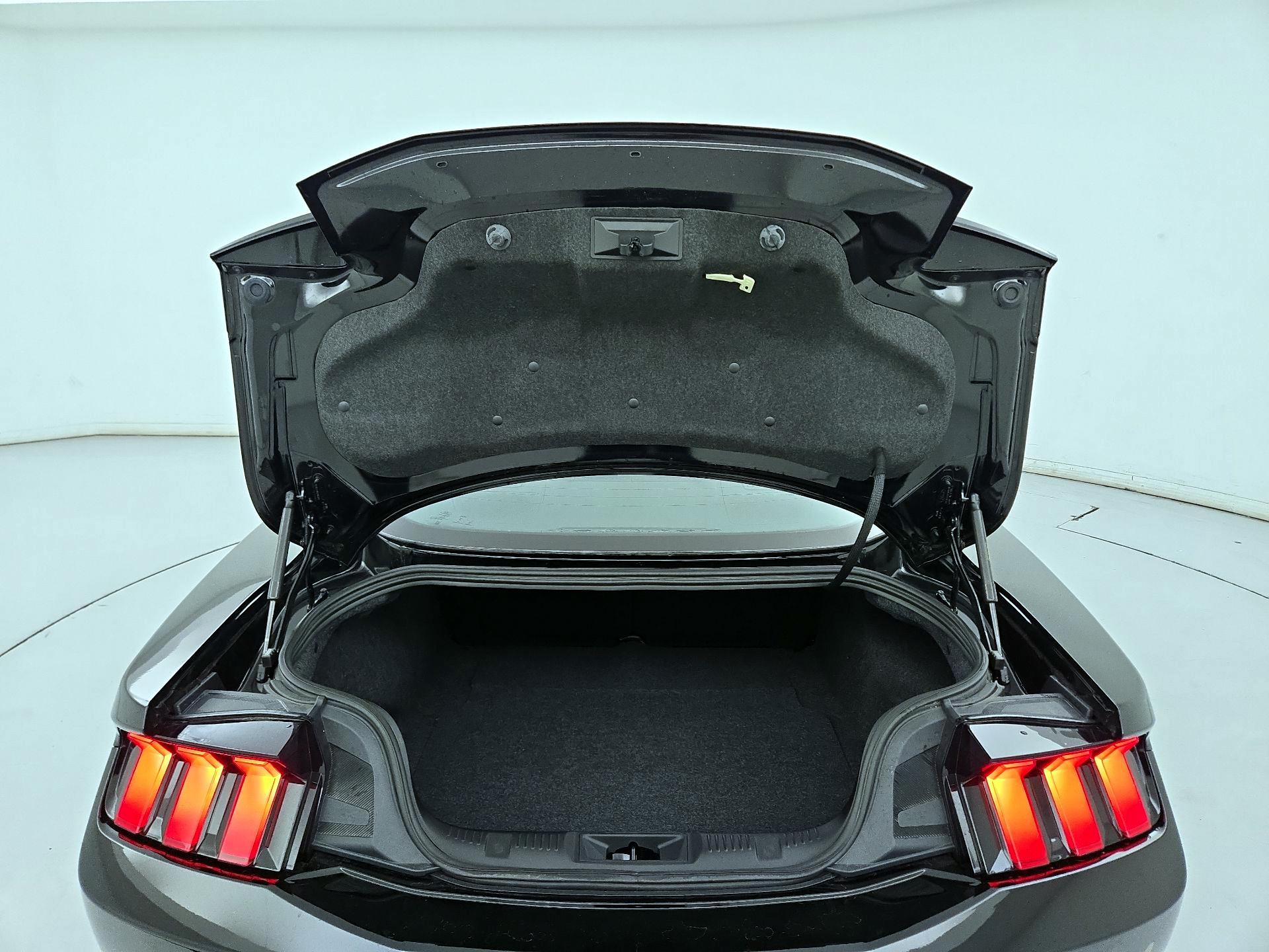 Thumbnail: 2025 Ford Mustang - 20