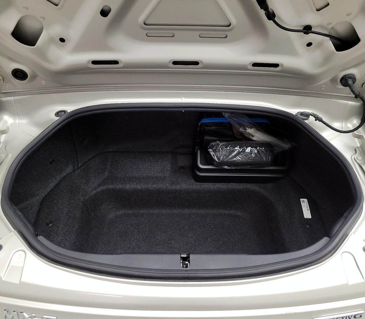Trunk/Cargo (Seats Up)