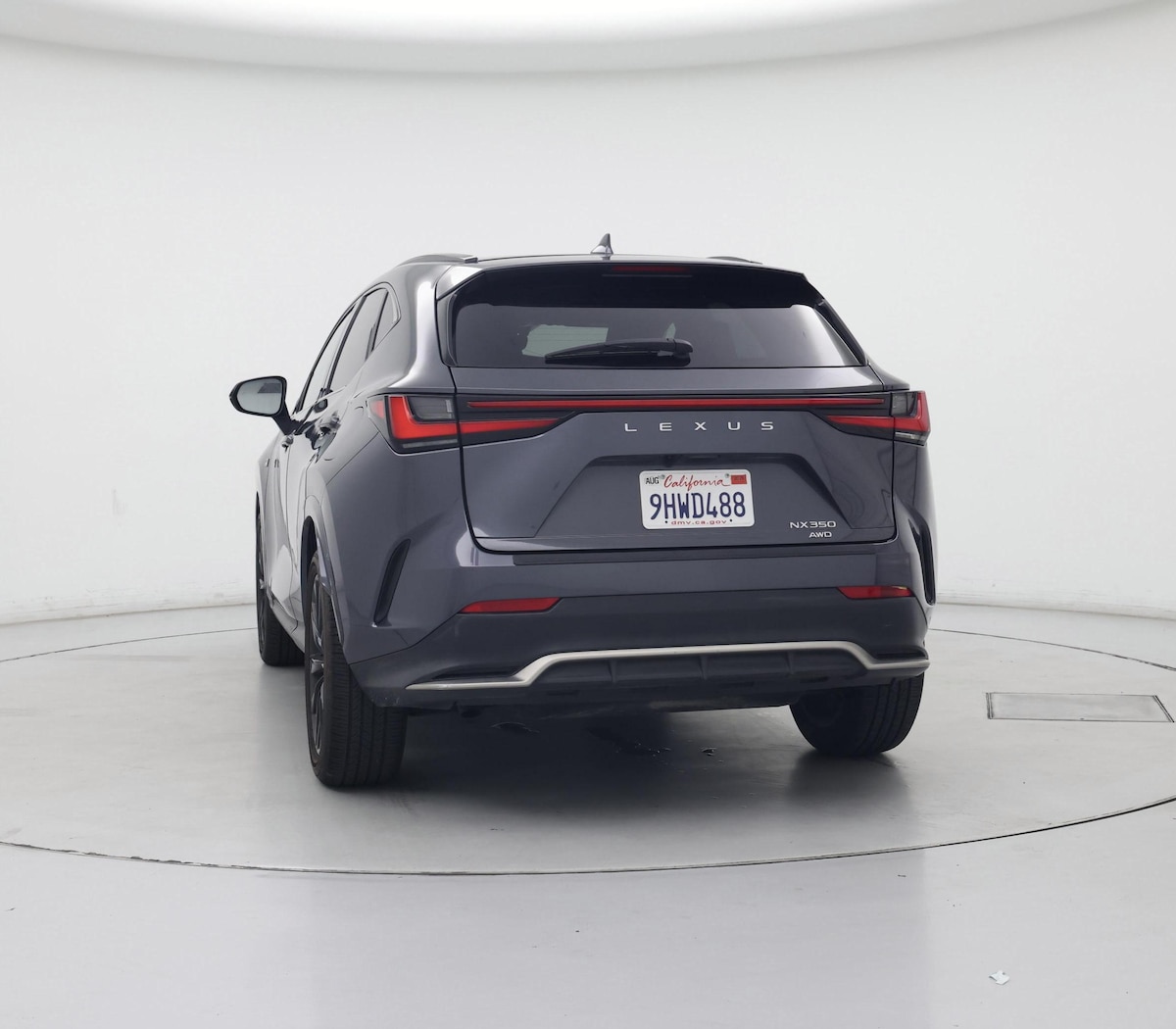 Rear
