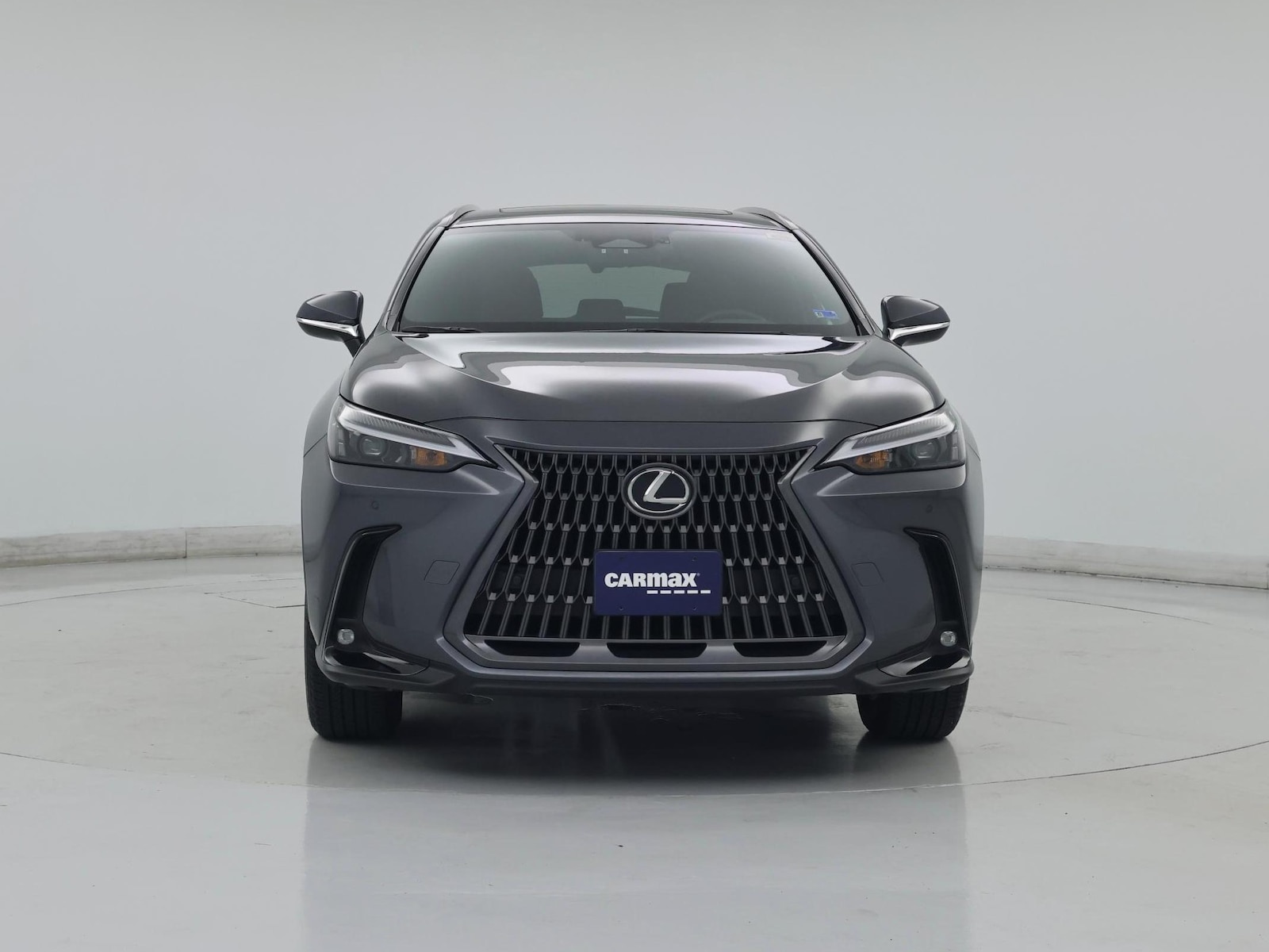 2024 Lexus NX 350 - Photo 6