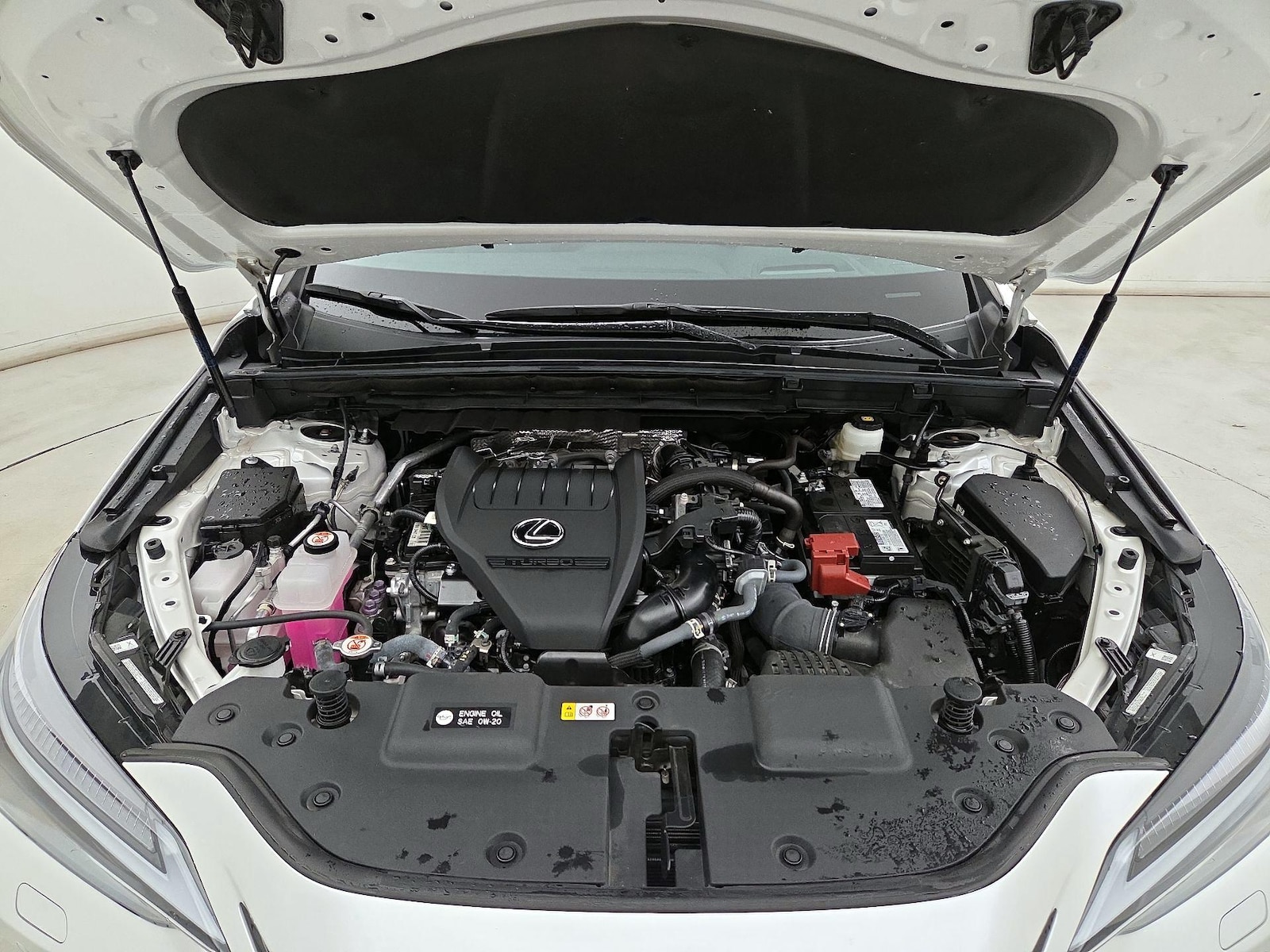 2024 Lexus NX 350 - Photo 22