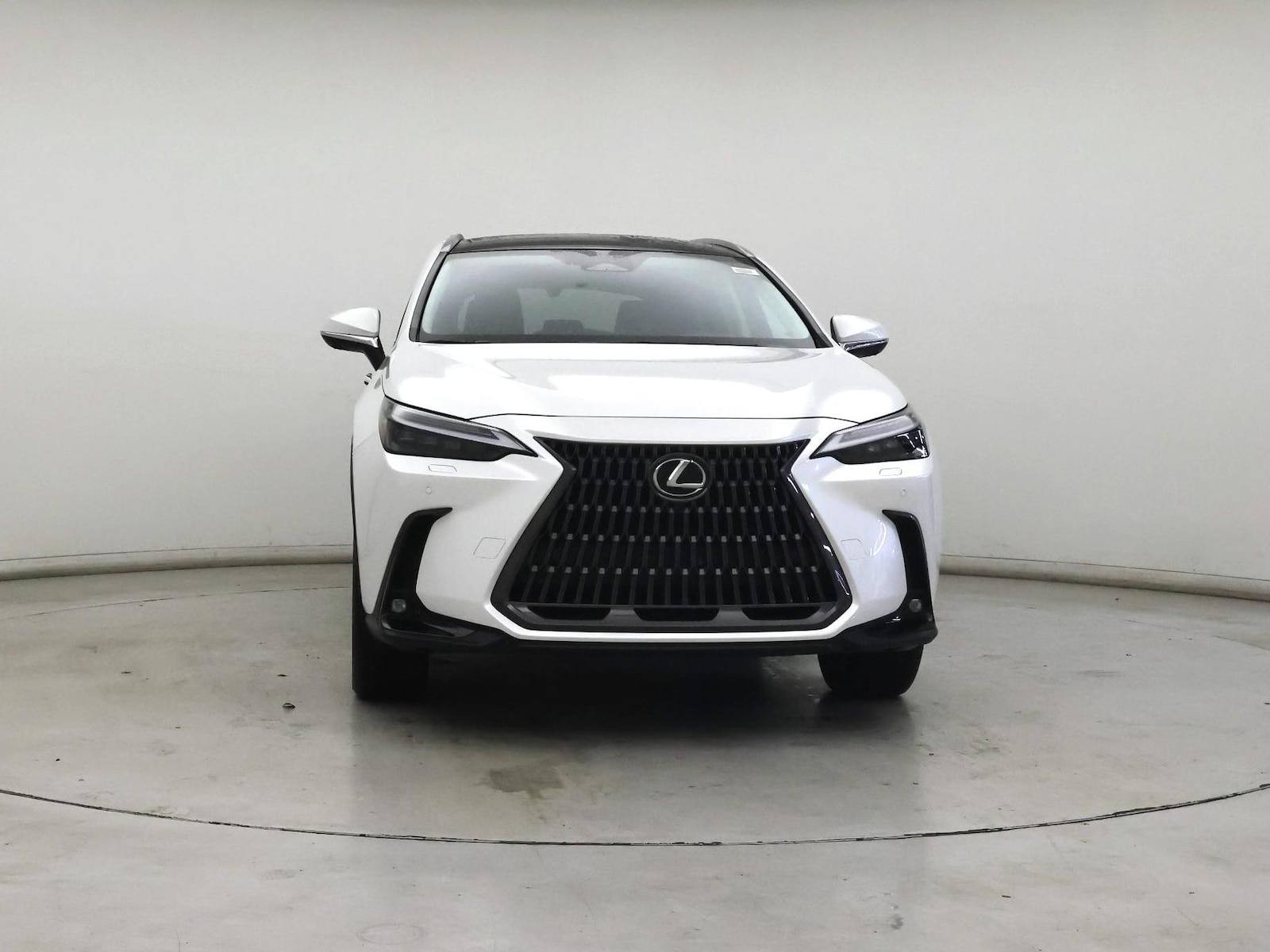 2024 Lexus NX 350 - Photo 6