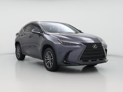2024 Lexus NX 350h Luxury