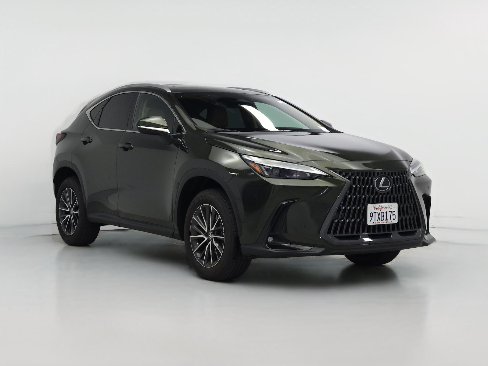 2025 Lexus NX