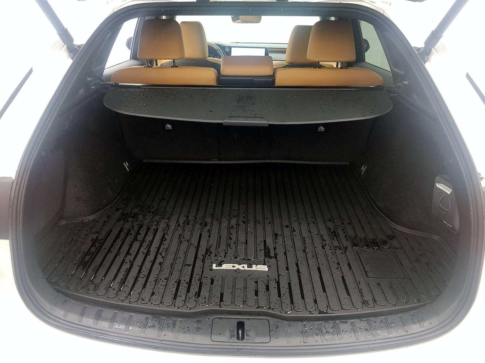 2023 Lexus RX 350 - Photo 22