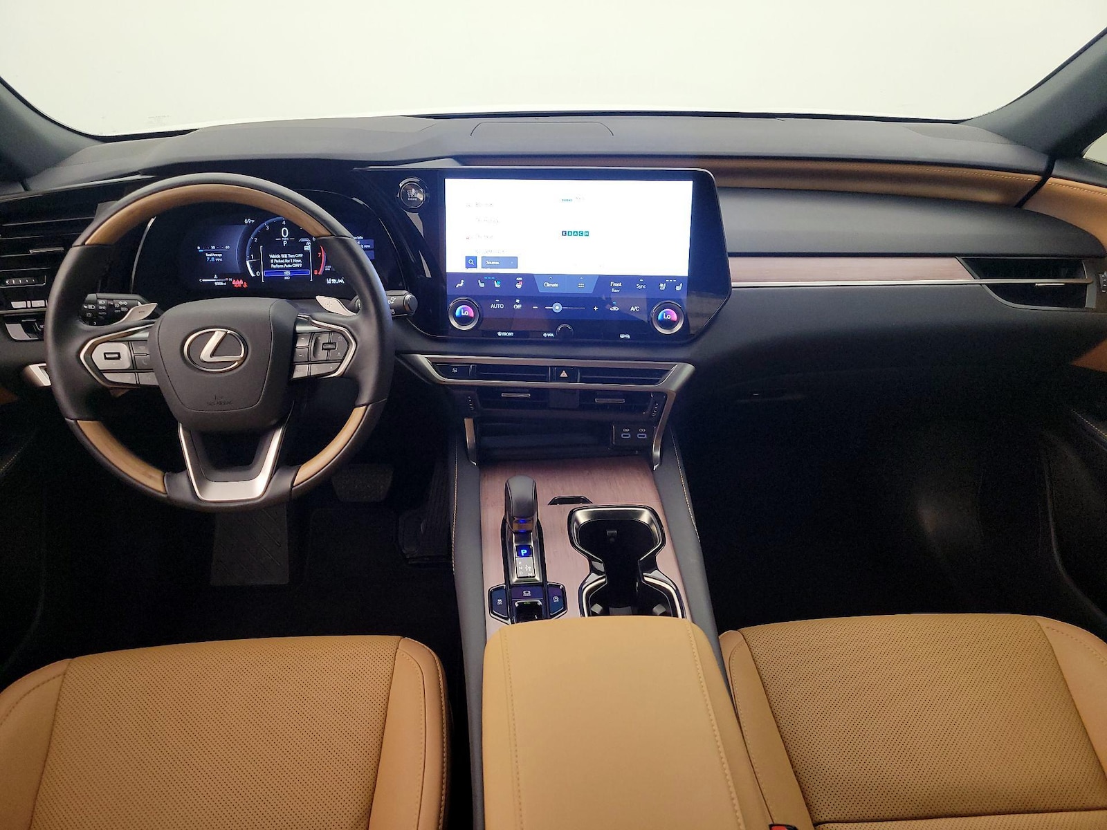 2025 Lexus RX 350 - Photo 10