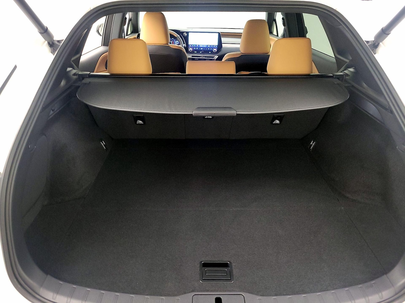2025 Lexus RX 350 - Photo 22