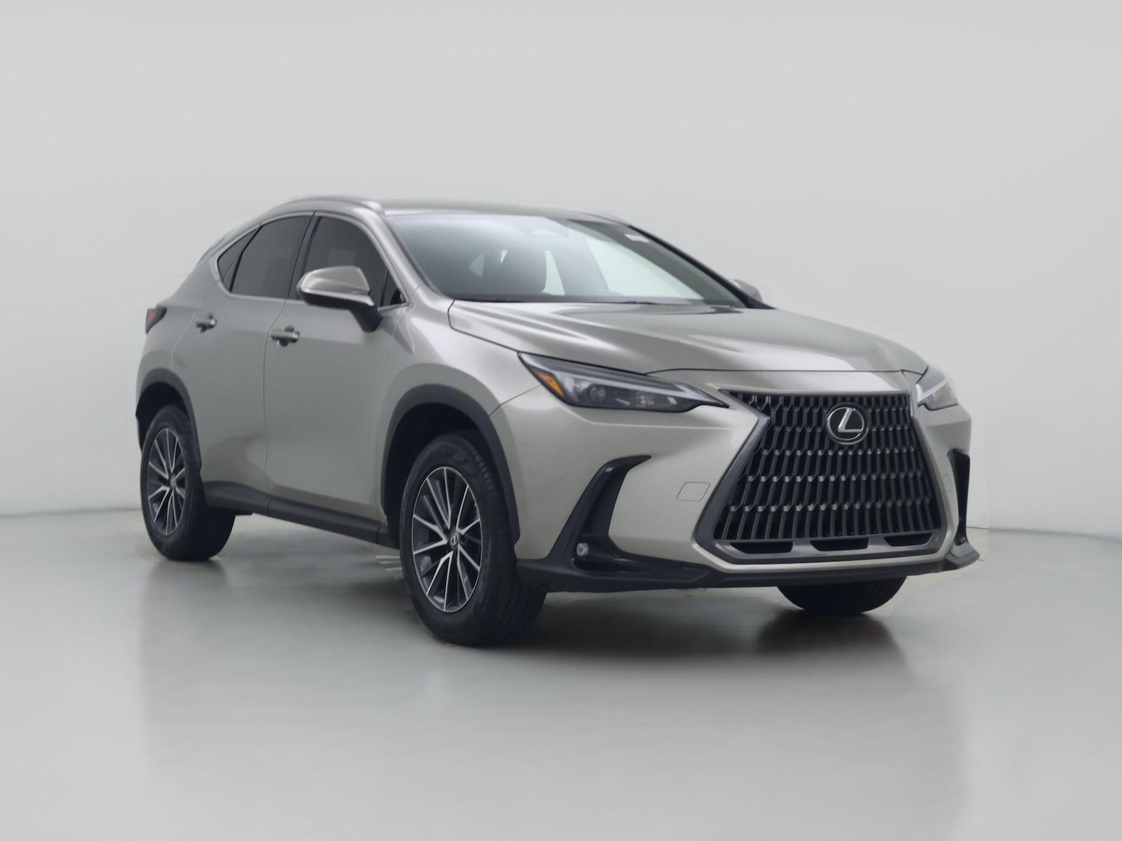 2024 Lexus NX