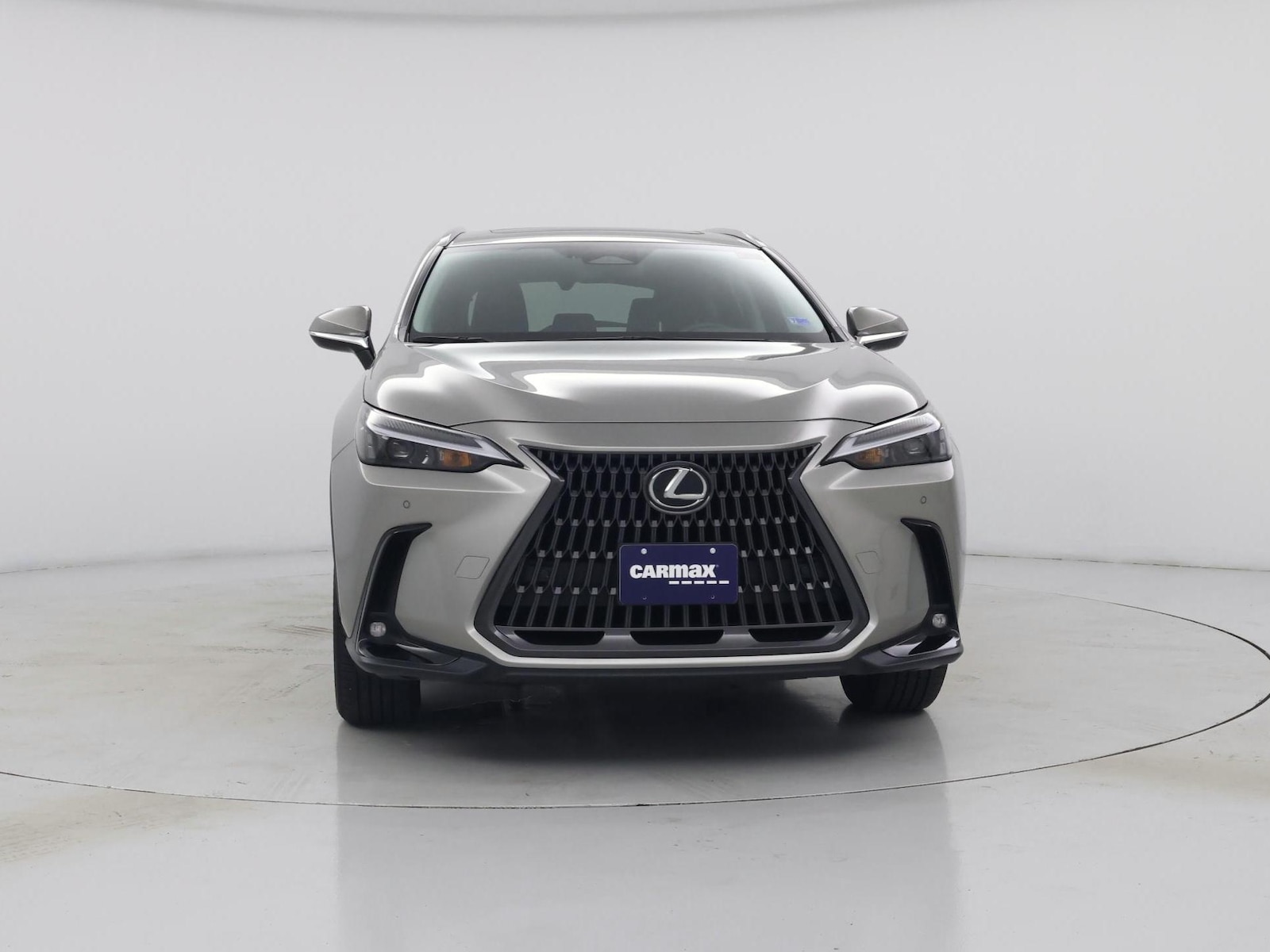 2025 Lexus NX 350 - Photo 6