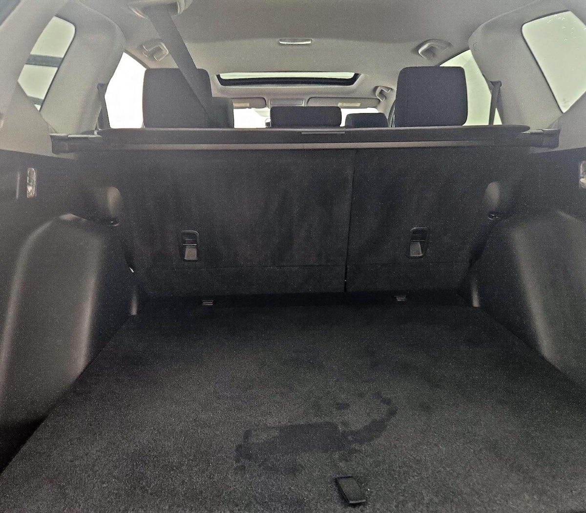 Trunk/Cargo (Seats Up)