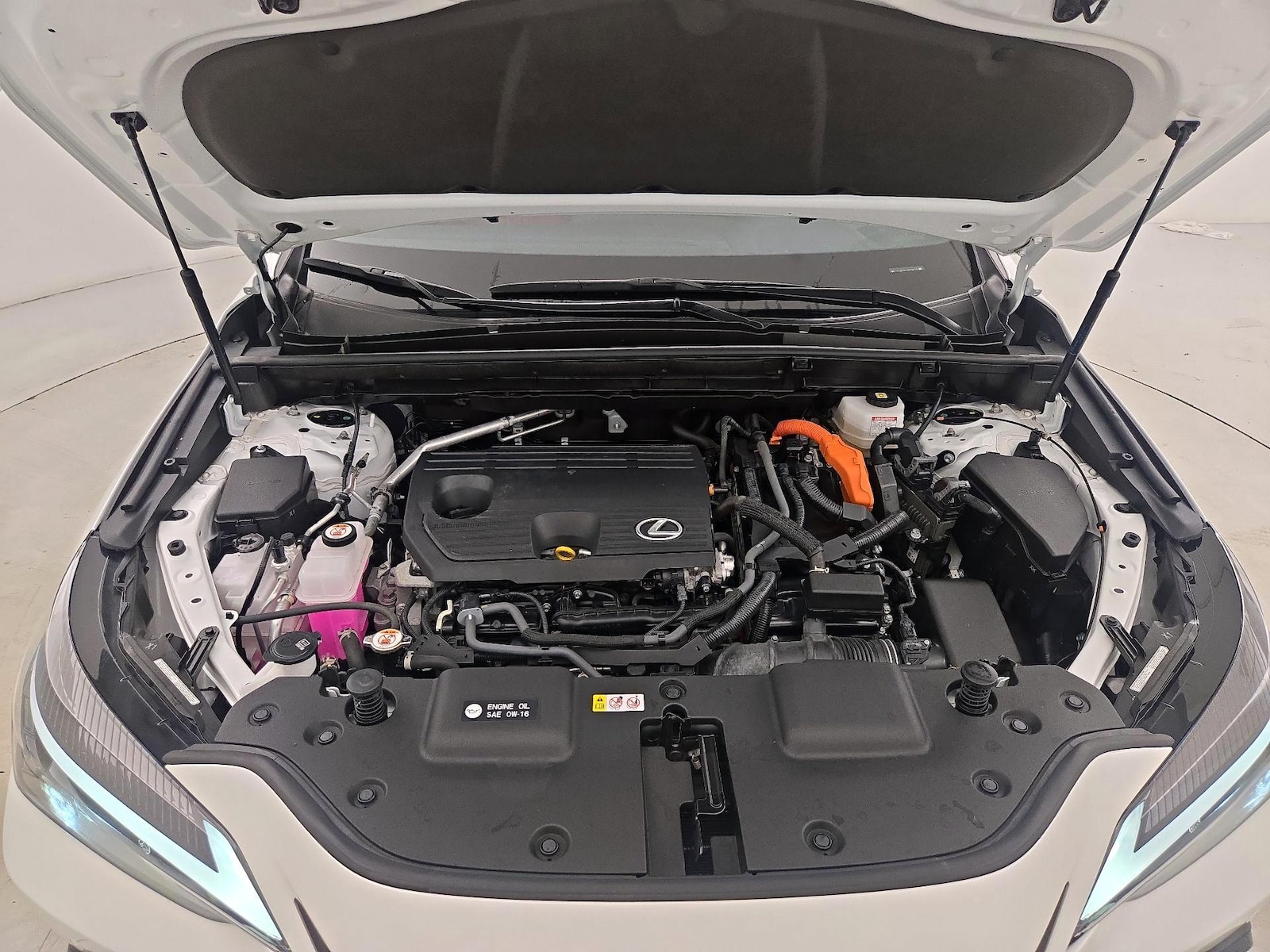 2025 Lexus NX Hybrid 350h - Photo 23