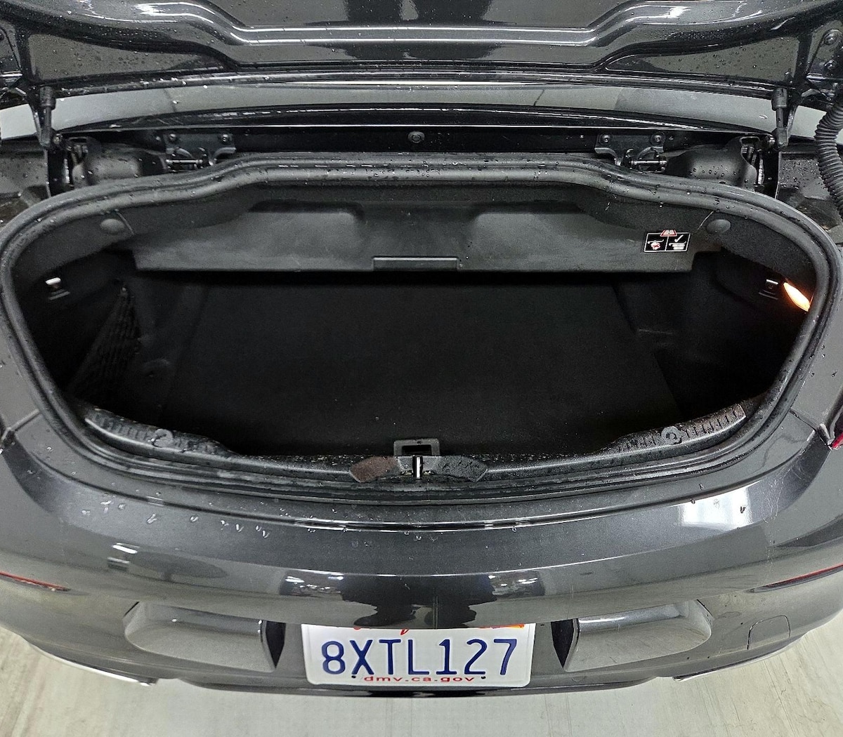 Trunk/Cargo (Seats Up)