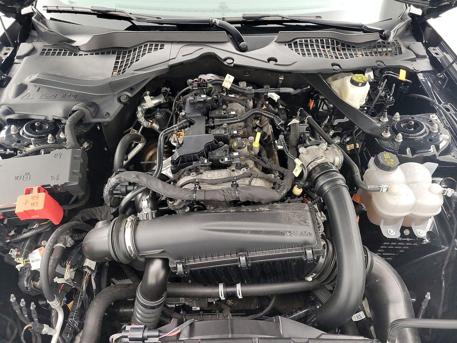 2024 Ford Mustang EcoBoost Premium - Photo 22