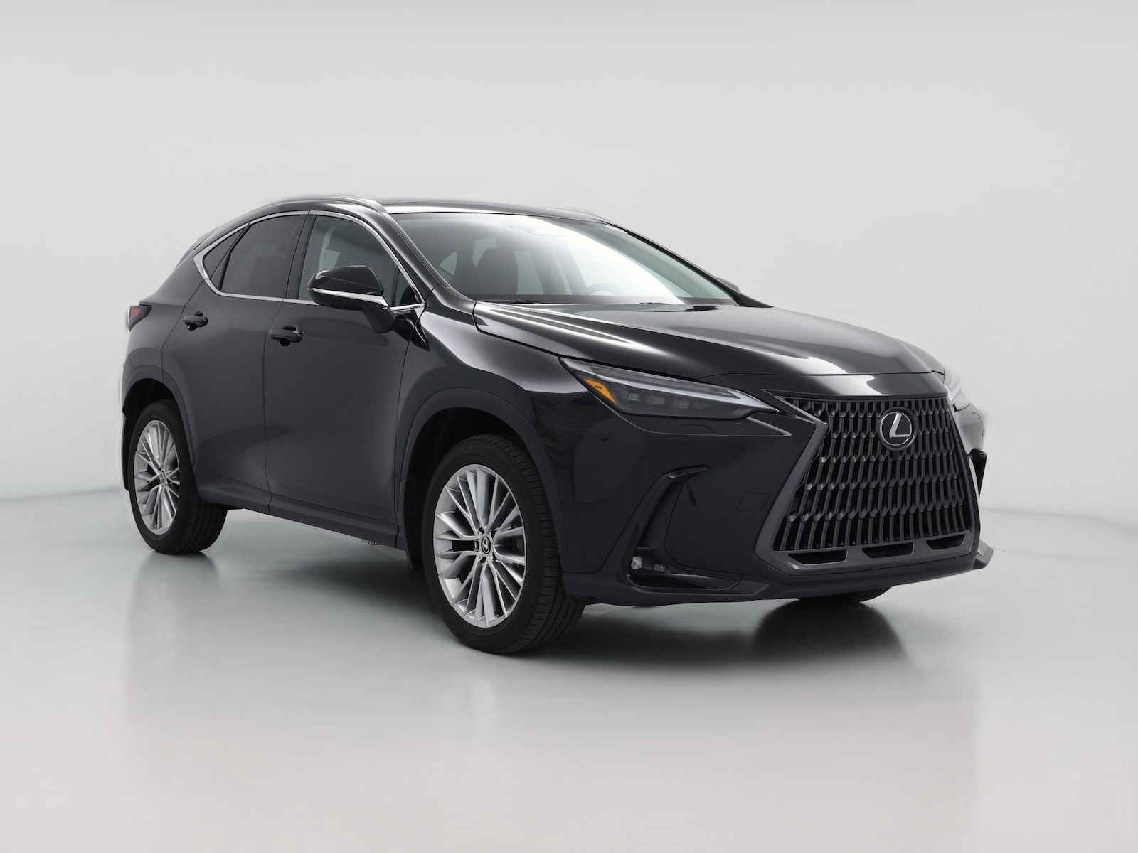 2024 Lexus NX