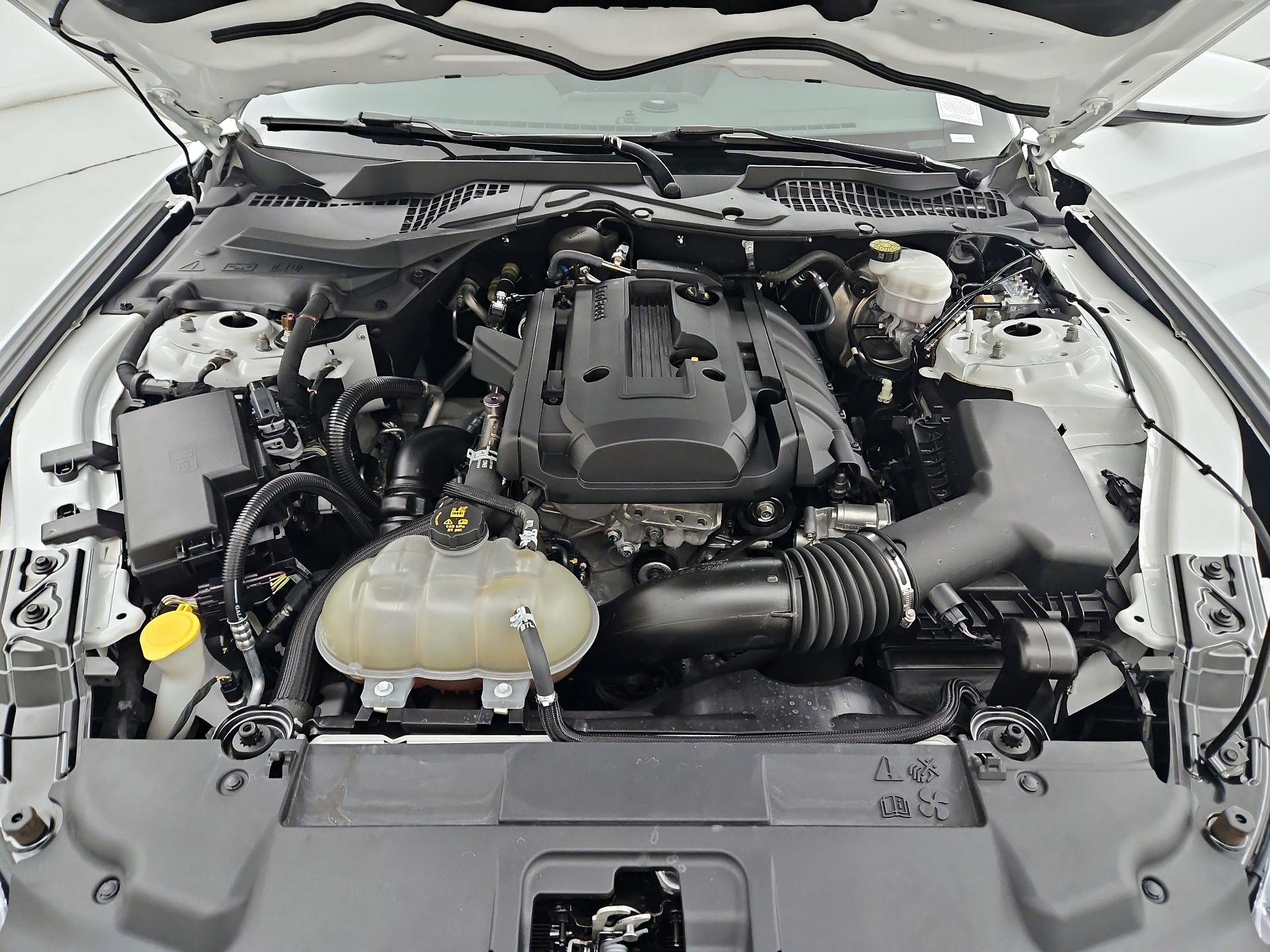Thumbnail: 2018 Ford Mustang - 20