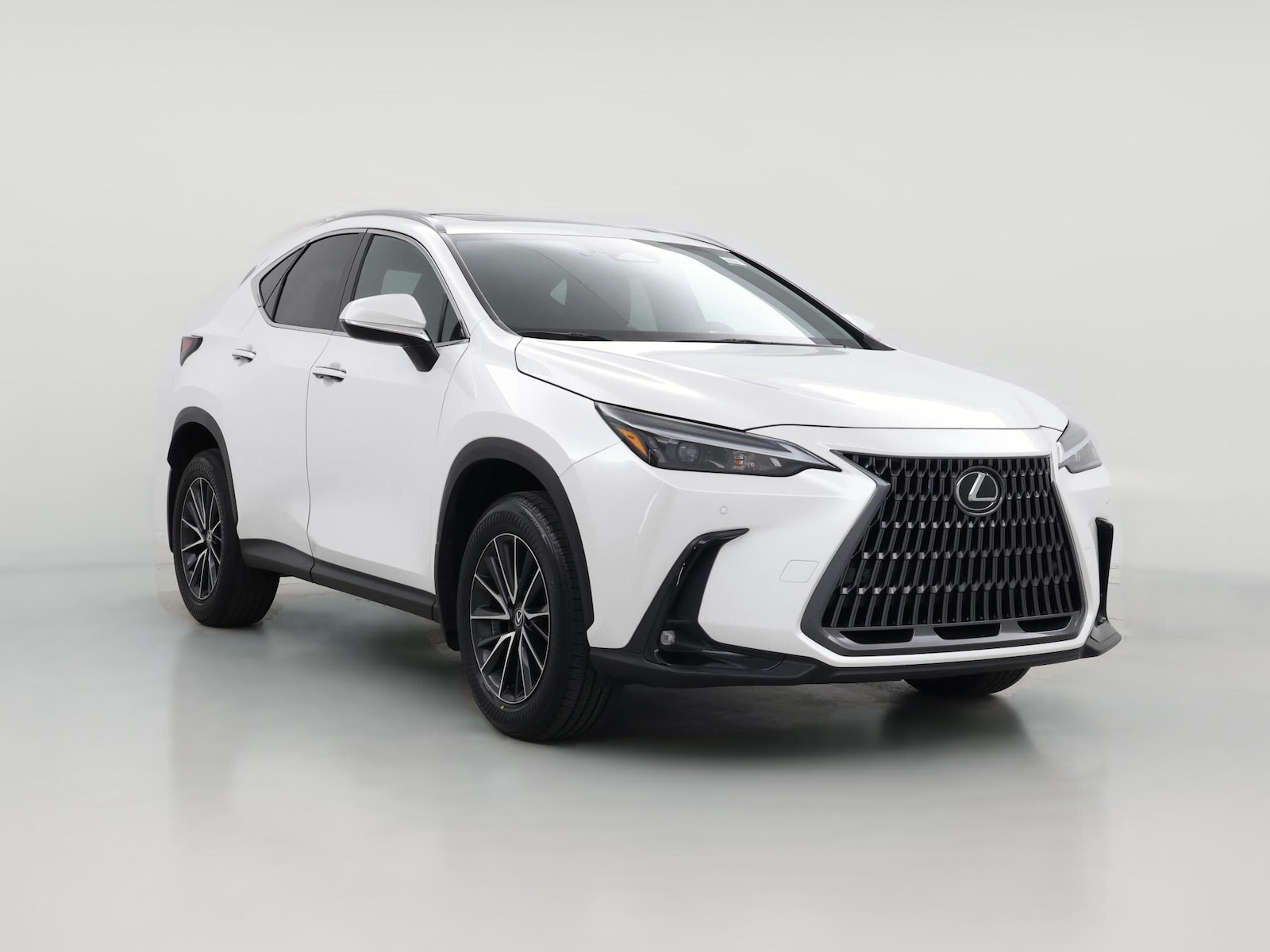 2024 Lexus NX