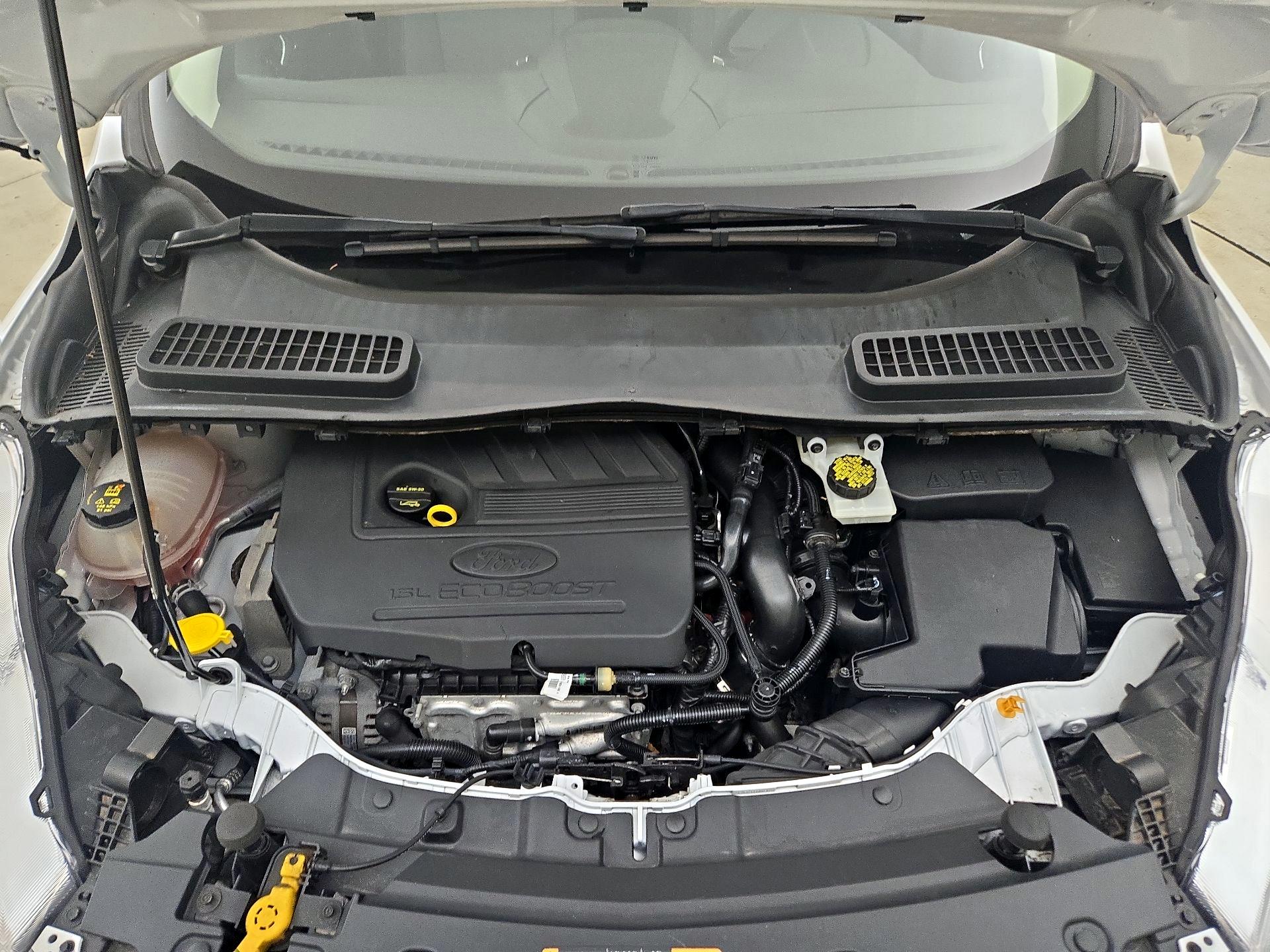Thumbnail: 2019 Ford Escape - 18