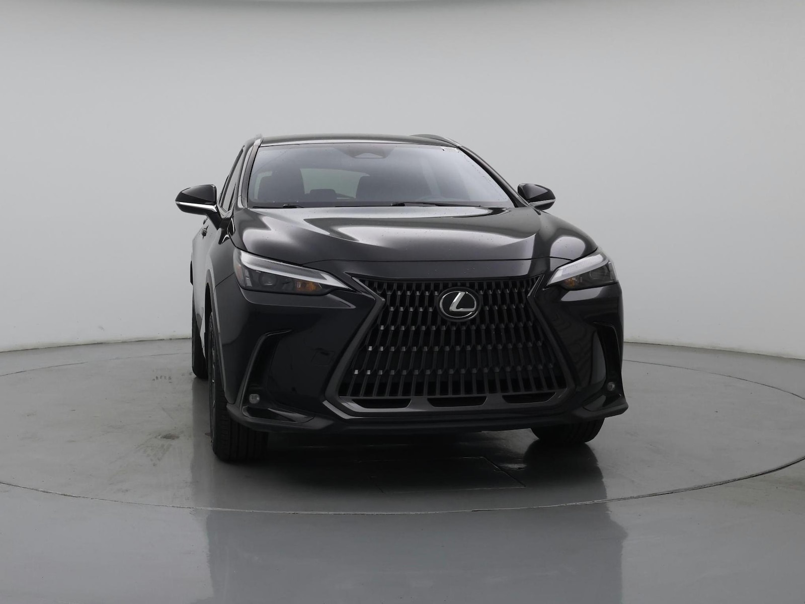 2023 Lexus NX 250 - Photo 6