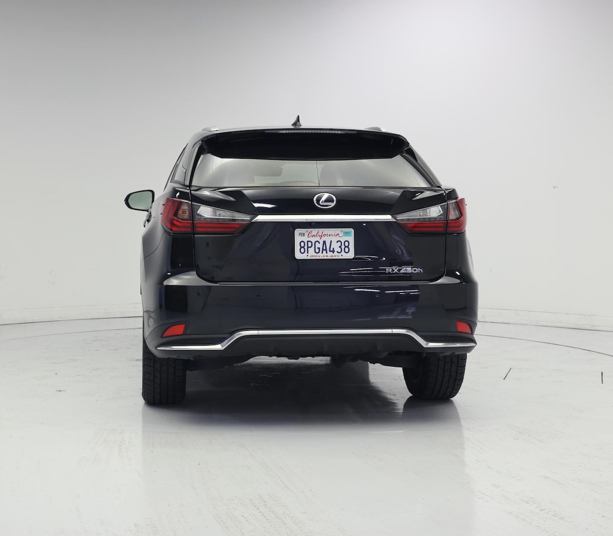 Rear