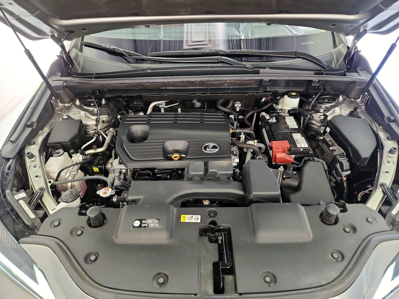 2024 Lexus NX 250 - Photo 22