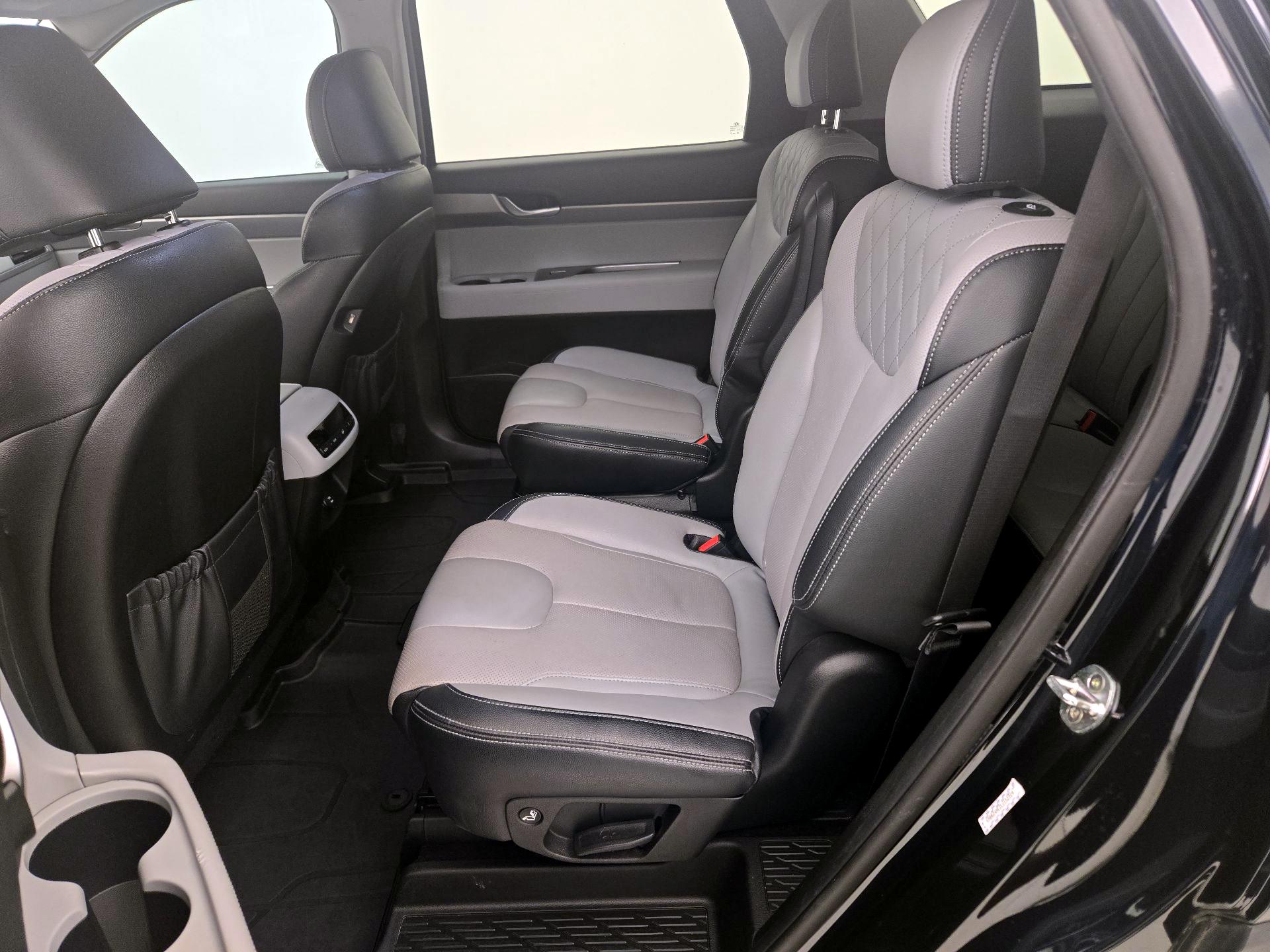 Thumbnail: 2020 Hyundai Palisade - 20