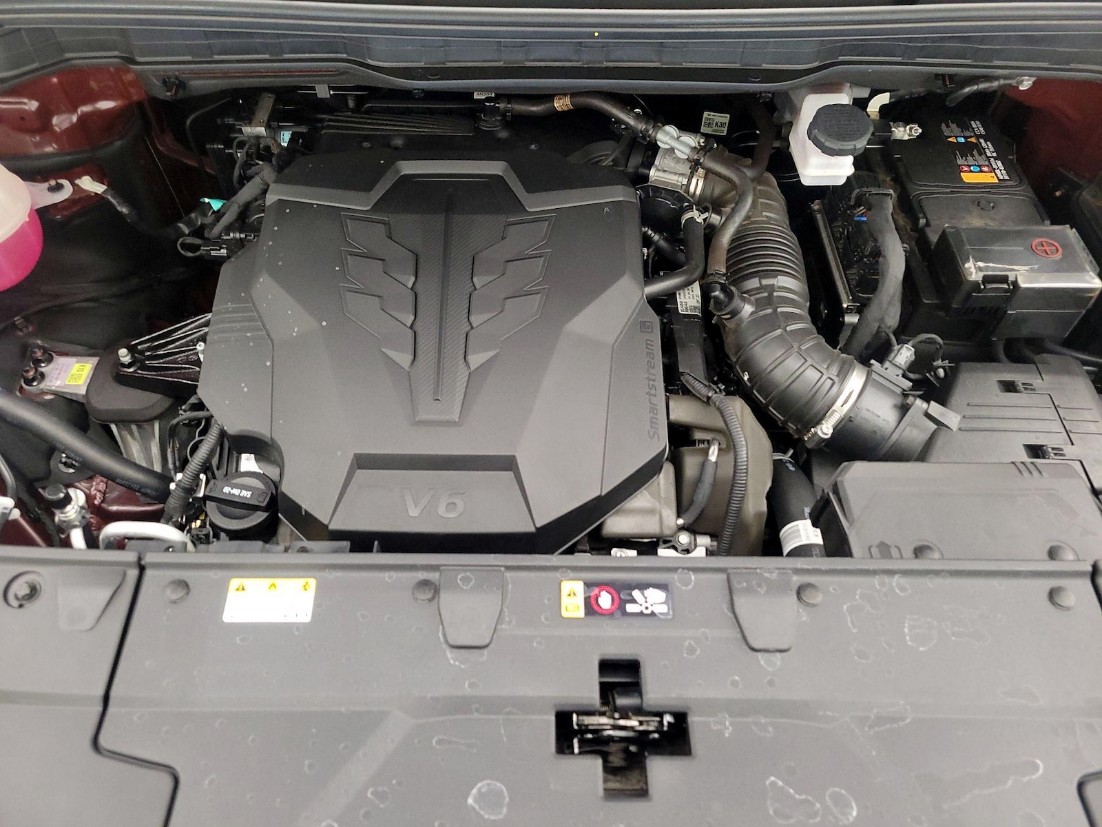 2025 Kia Carnival LXS - Photo 25