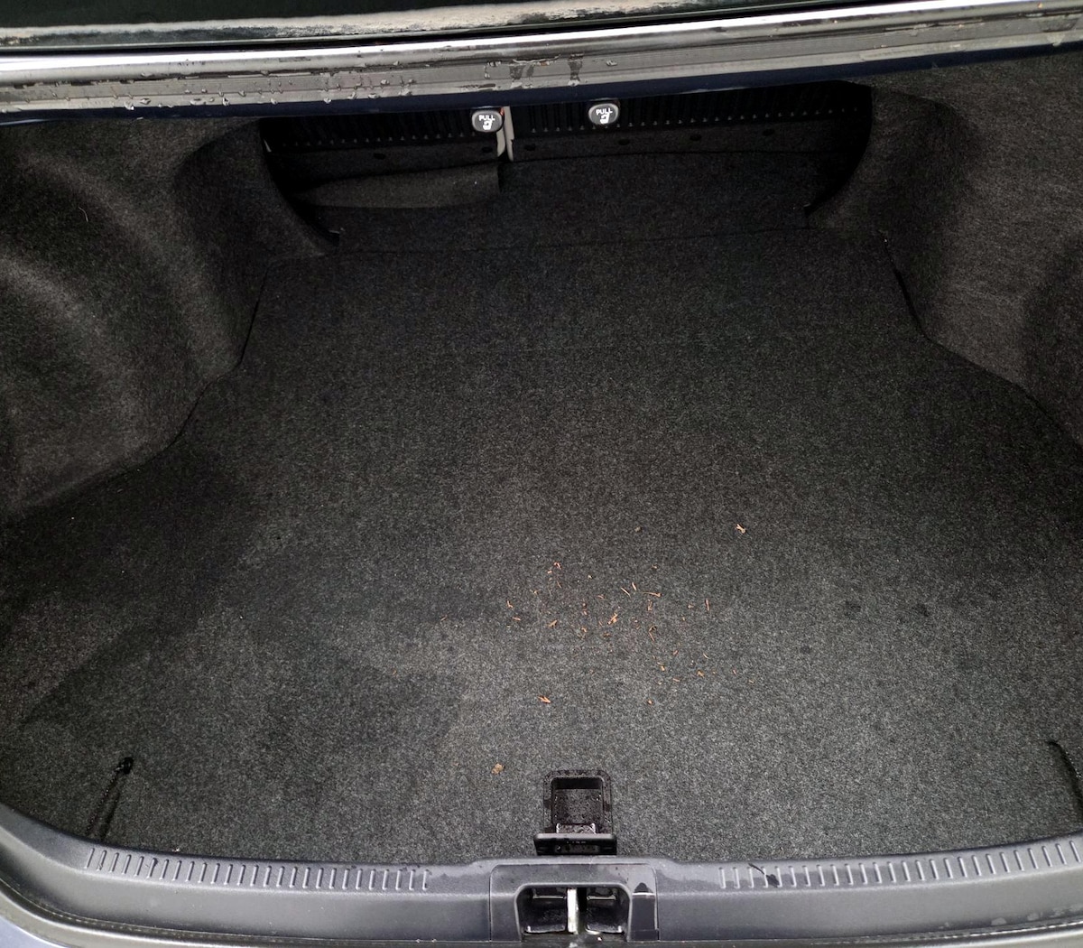 Trunk/Cargo (Seats Up)