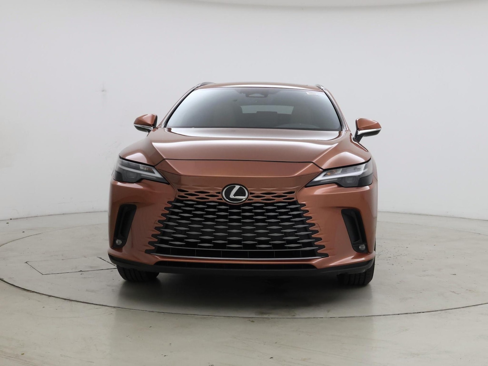 2024 Lexus RX 350 - Photo 6