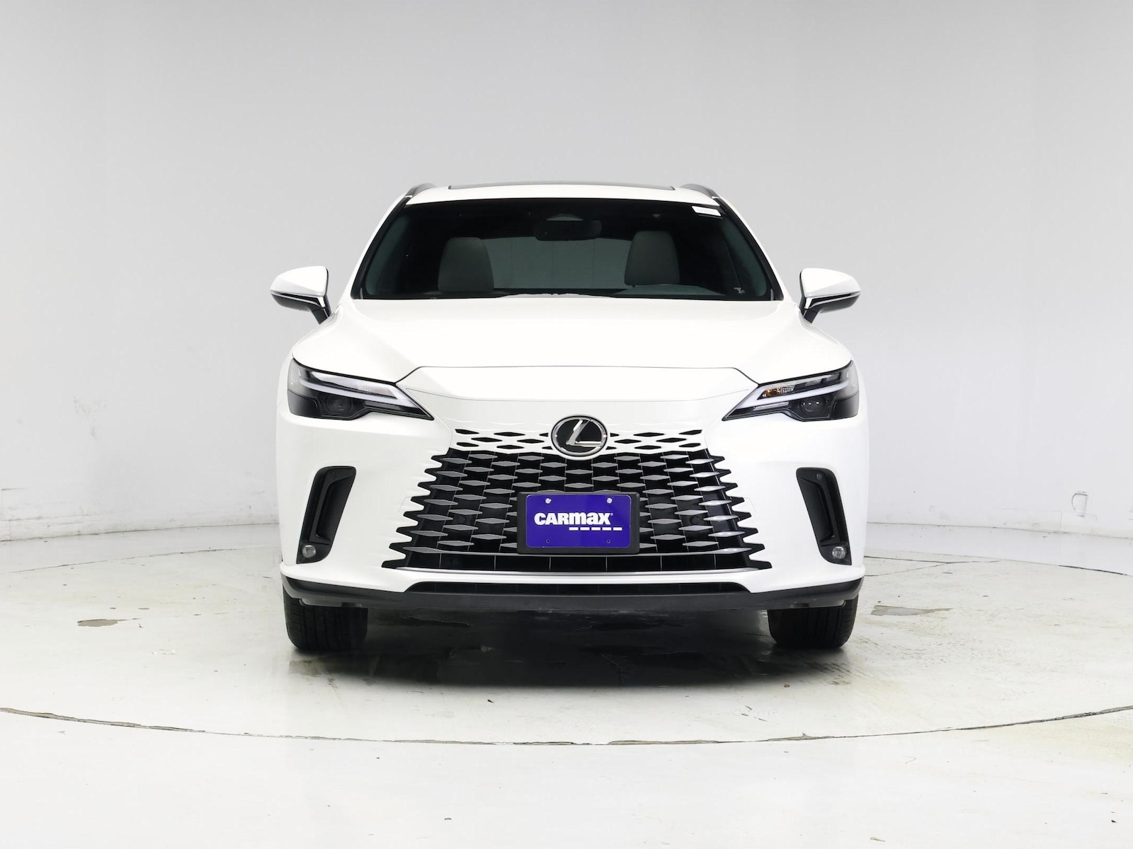 2023 Lexus RX 350 - Photo 6