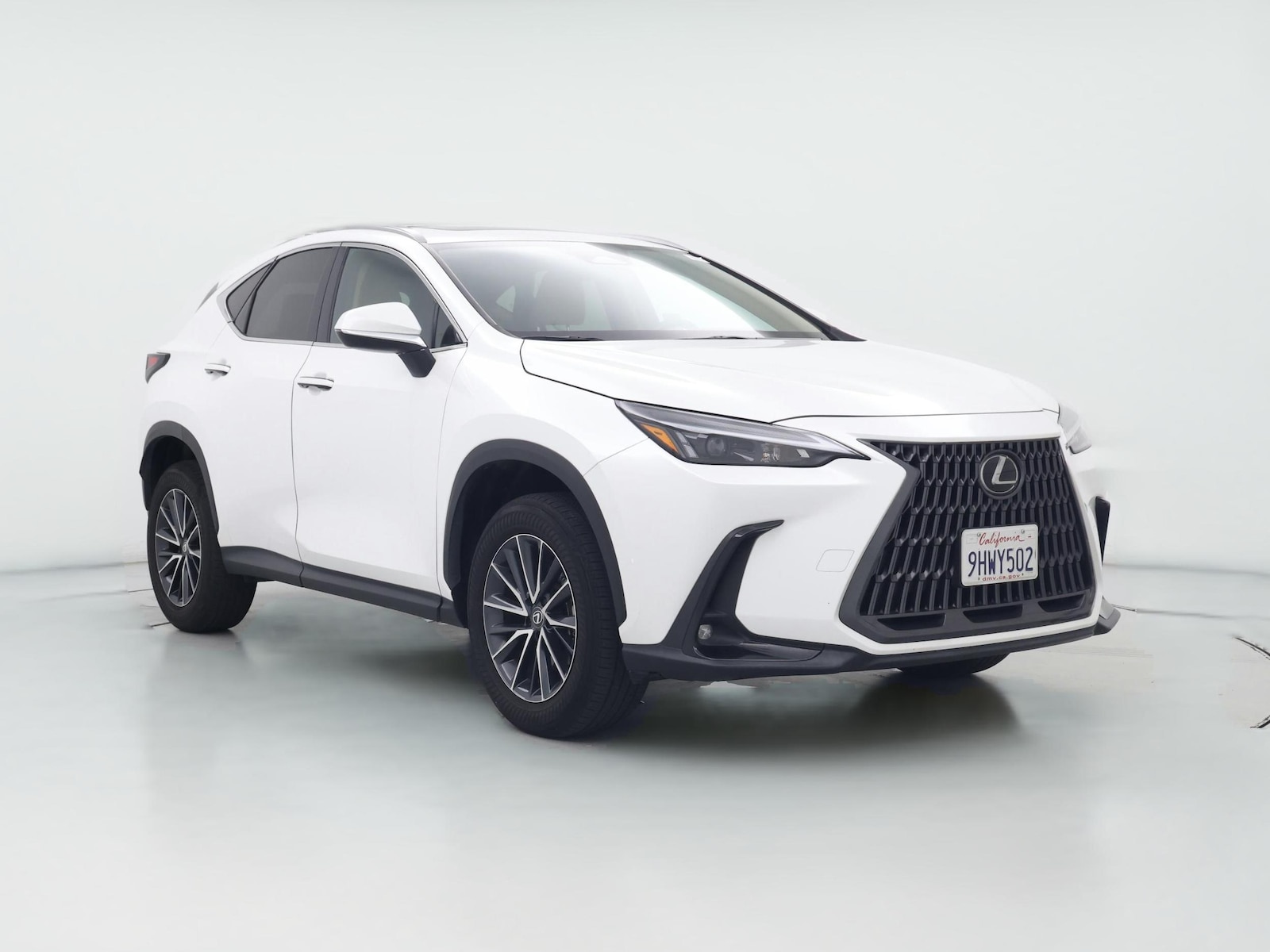 2024 Lexus NX