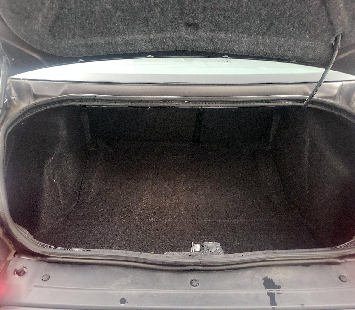 Trunk/Cargo (Seats Up)