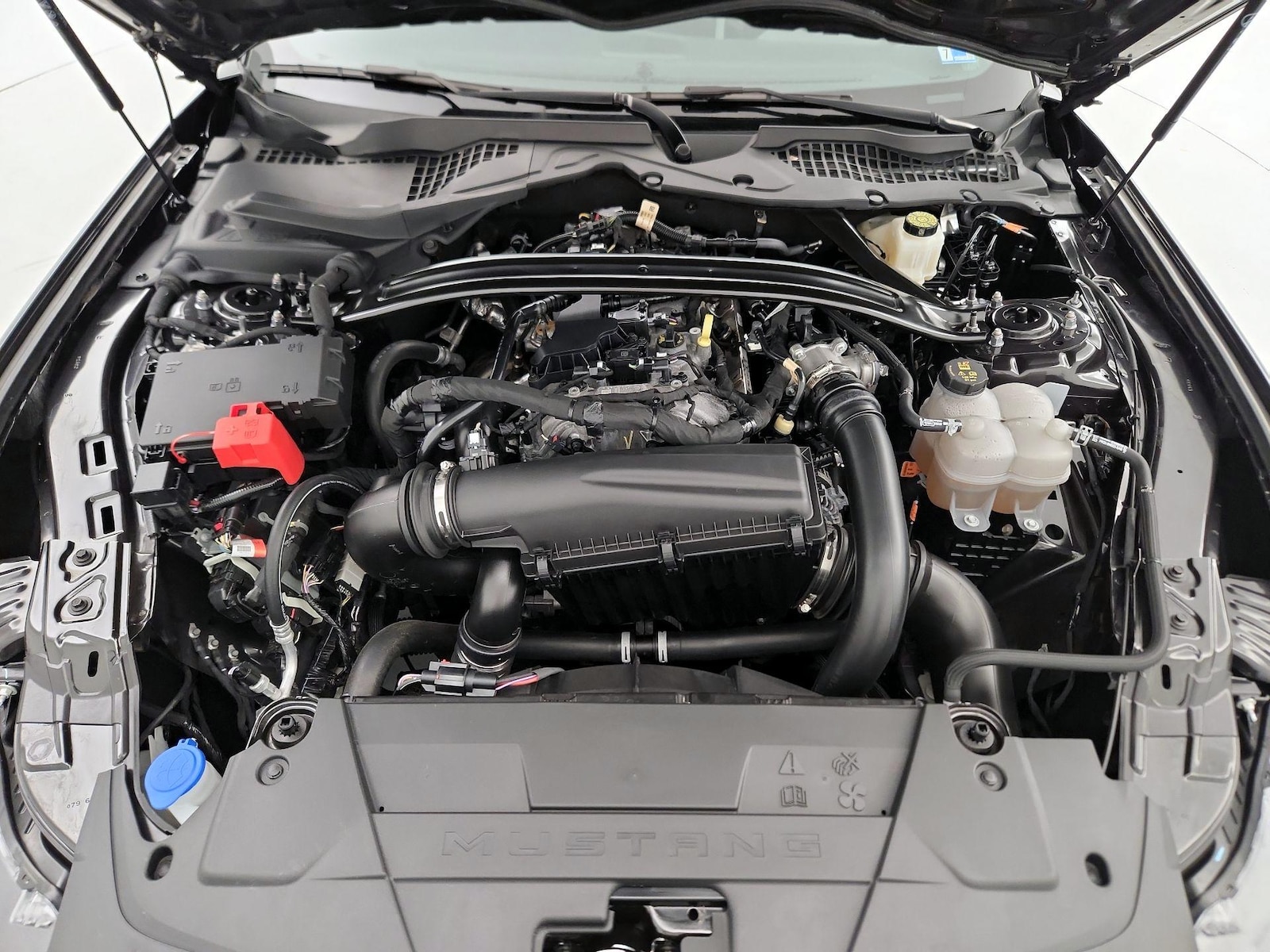 2024 Ford Mustang EcoBoost - Photo 22