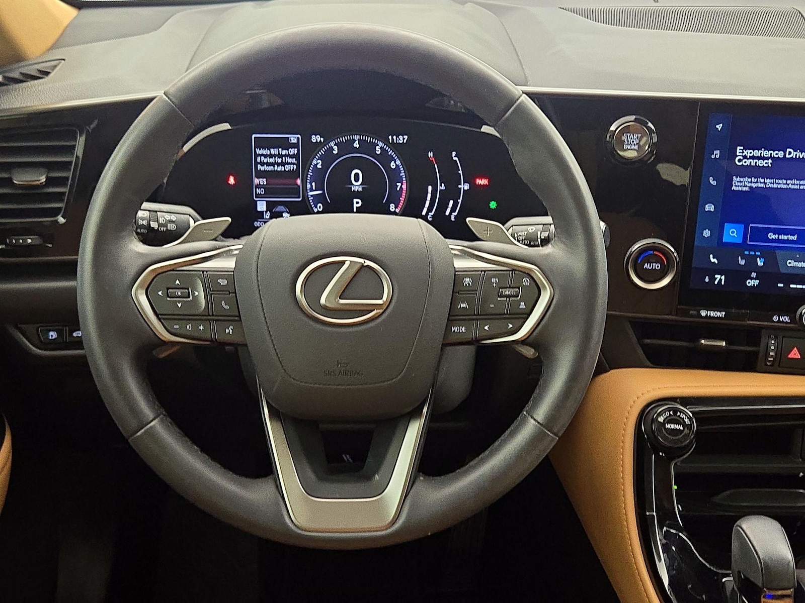 2025 Lexus NX 250 - Photo 11