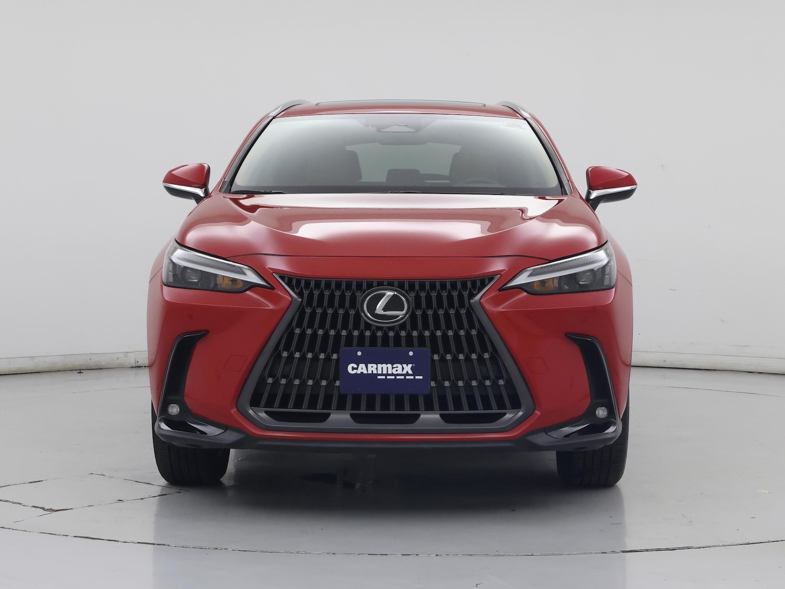 2025 Lexus NX 250 - Photo 6