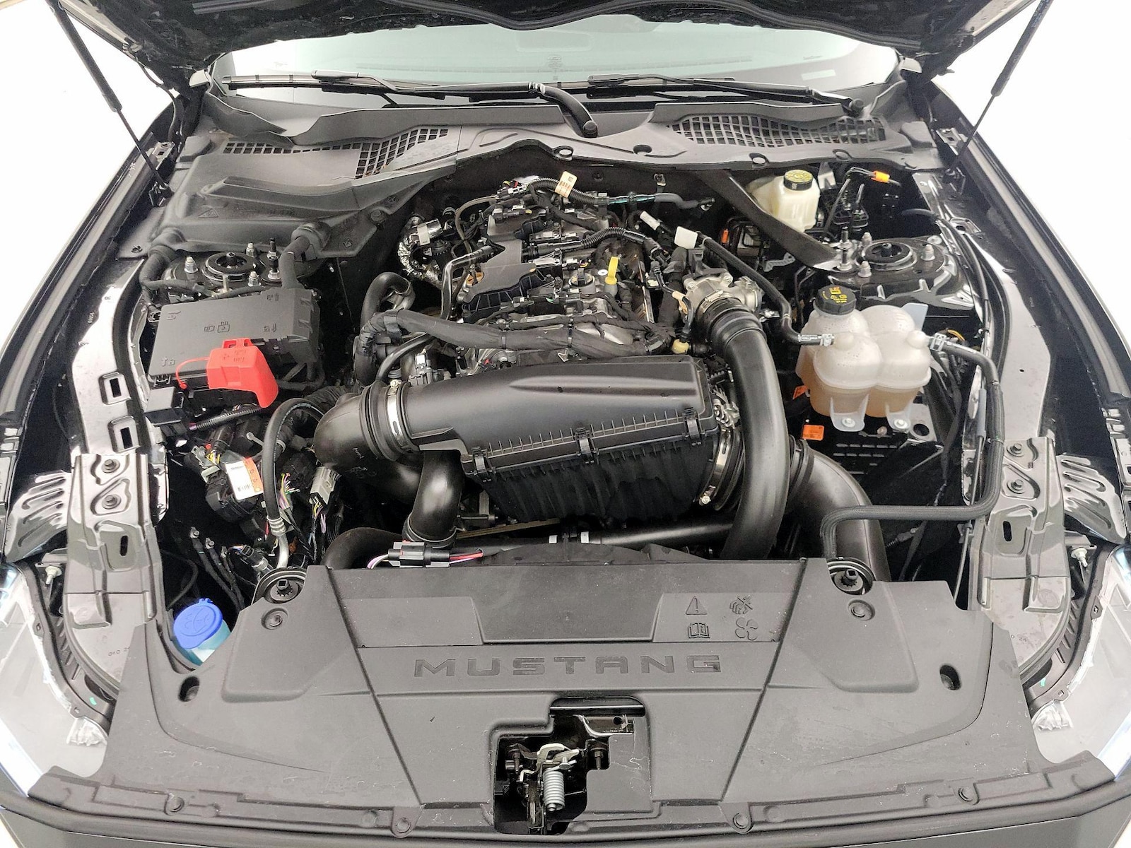 2024 Ford Mustang EcoBoost - Photo 22