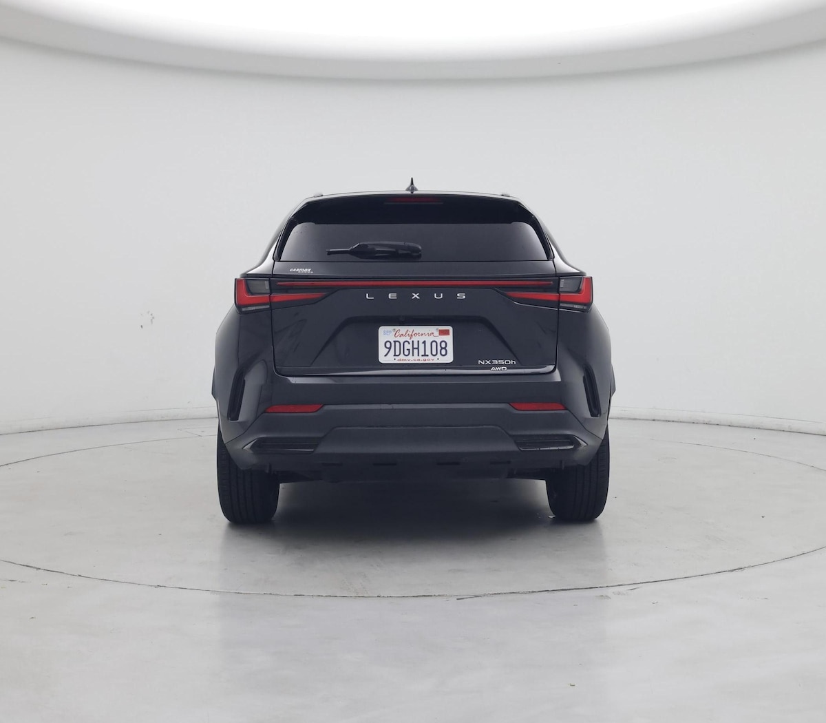 Rear
