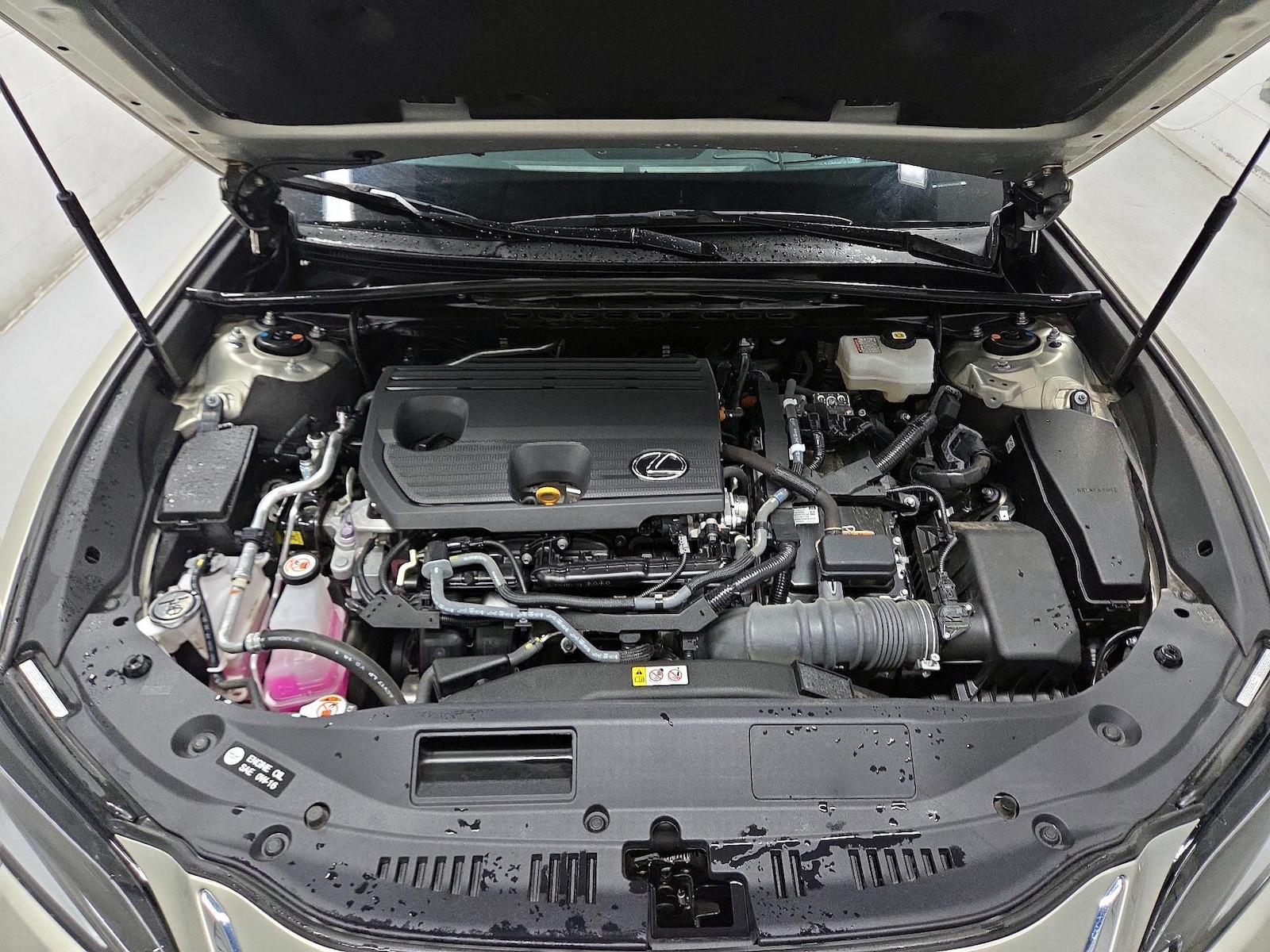 2025 Lexus ES Hybrid 300h Luxury - Photo 24